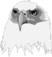 eagle logo